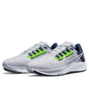 Nike x NFL Air Zoom Pegasus 38 'Seattle Seahawks' DJ0854-001