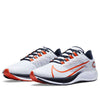 Nike Air Zoom Pegasus 37 'Chicago Bears' CZ5433-100