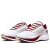 Nike Air Zoom Pegasus 37 'Florida State' CZ5377-100