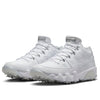 Air Jordan 9 Retro Low Golf 'NRG Tour Championship' HM8373-100