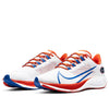 Nike Air Zoom Pegasus 37 'Florida' CZ5380-100