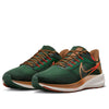 Nike x Hola Lou Air Zoom Pegasus 39 'A.I.R.' DO9500-300