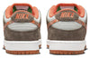 Nike x Crushed D.C. SB Dunk Low 'Golden Hour' DH7782-001