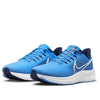 Nike Air Zoom Pegasus 39 x NFL 'Tennessee Titans' DR2063-400