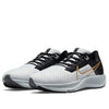 Nike Air Zoom Pegasus 38 'Photon Dust Metallic Gold Coin' CW7356-007