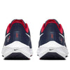 Nike x NFL Air Zoom Pegasus 39 'Houston Texans' DR2045-400