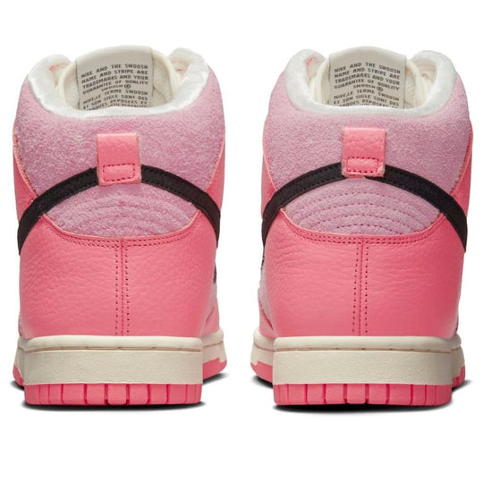 (WMNS) Nike Dunk High 'Hoops Pack' DX3359-600