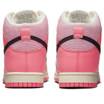 (WMNS) Nike Dunk High 'Hoops Pack' DX3359-600