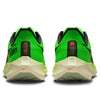 Nike Air Zoom Pegasus 39 'Ekiden Zoom Pack' DZ4776-343