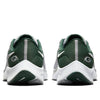Nike x NFL Air Zoom Pegasus 38 'Green Bay Packers' DJ0844-001