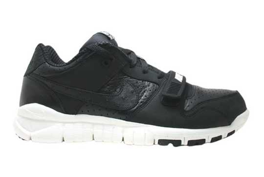 Nike x Stussy Trainer Dunk Low 'Stussy World Tour' 315731-001