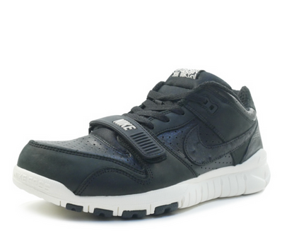 Nike x Stussy Trainer Dunk Low 'Stussy World Tour' 315731-001
