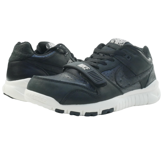 Nike x Stussy Trainer Dunk Low 'Stussy World Tour' 315731-001