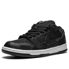 Nike SB Dunk Low x 'Wasted Youth' DD8386-001-SP-BOX