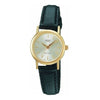 CASIOG Shock Quartz Waterproof Gold Analog