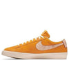 NikeBlazer Low SB GT 'Home State Georgia'