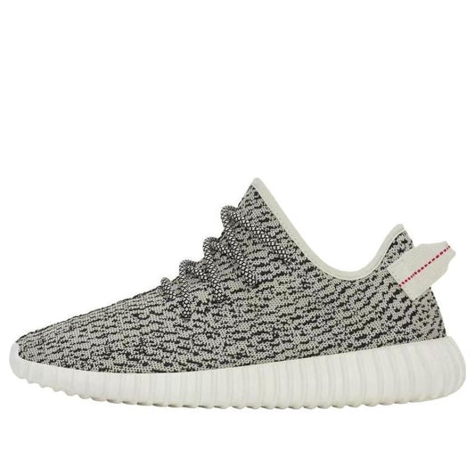 adidasYeezy Boost 350 'Turtle Dove'
