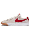 NikeBlazer Low GT SB 'Cardinal Red'