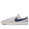 NikePolar Skate Co x Blazer Low SB QS 'Summit White Deep Royal'