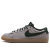 NikeSB Skateboard Blazer Low GT Grey