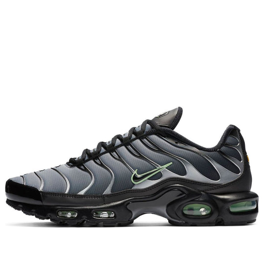 Nike Air Max Plus 'Particle Grey Vapour Green' CZ7552-001