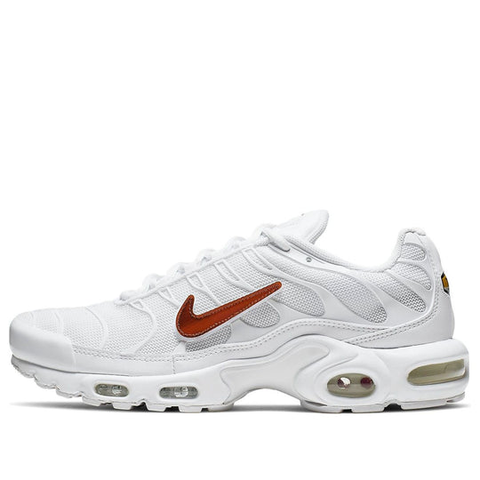 Nike Air Max Plus 'Removable Swoosh' CJ9696-100
