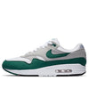 Nike Air Max 1 'Evergreen' DC1454-100