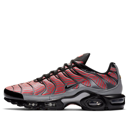 Nike Air Max Plus 'Euro Tour - Particle Grey' CW7575-001