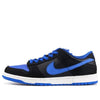 Nike SB Dunk Low Pro 'J Pack Royal' 304292-041