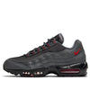Nike Air Max 95 'Iron Grey' DC4115-002