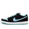Nike SB Dunk Low Pro 'Clear Jade' 304292-030