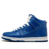 Nike SB Dunk High Pro 'T-19' 305050-441