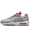 Nike Air Max 95 'Grey USA' DB0250-001