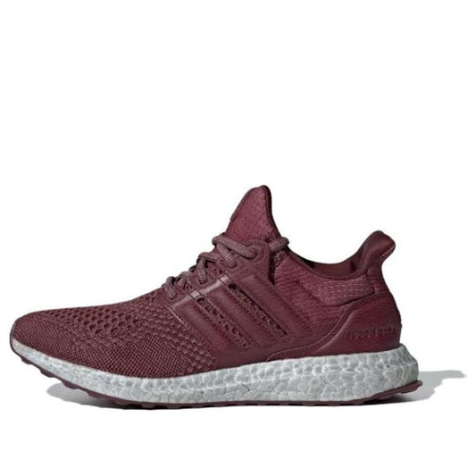 (WMNS) adidas UltraBoost 1.0 'Shadow Red' ID9676