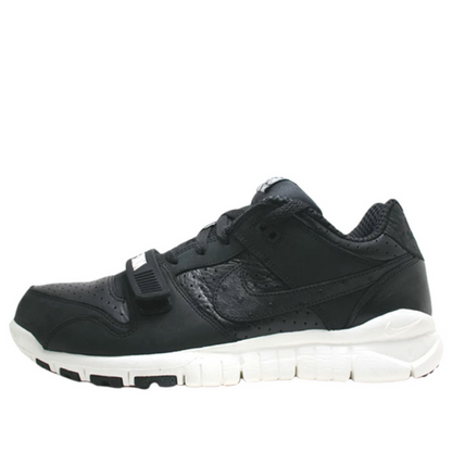 Nike x Stussy Trainer Dunk Low 'Stussy World Tour' 315731-001