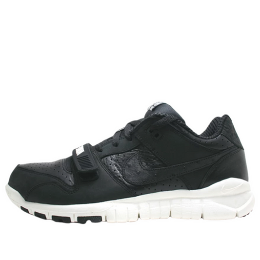 Nike x Stussy Trainer Dunk Low 'Stussy World Tour' 315731-001