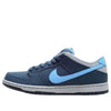 Nike SB Dunk Low Pro 'Blue' 304292-414