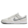 Nike Dunk Low Retro 'Summit White Light Smoke Grey' DV0831-106
