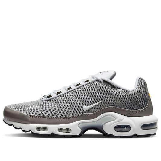 Nike Air Max Plus SE 'Flat Pewter' DV7665-002