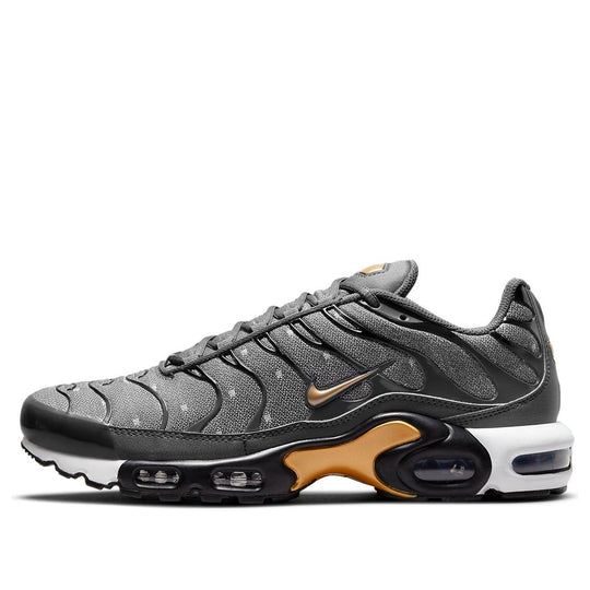 Nike Air Max Plus SE 'Iron Grey Metallic Gold' DM7570-002