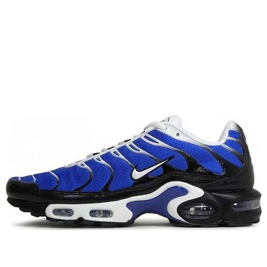 Nike Air Max Plus 'Varsity Royal Black White' 604133-410