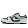 Nike Dunk Low Premium 'Dark Smoke Grey' FZ1670-001