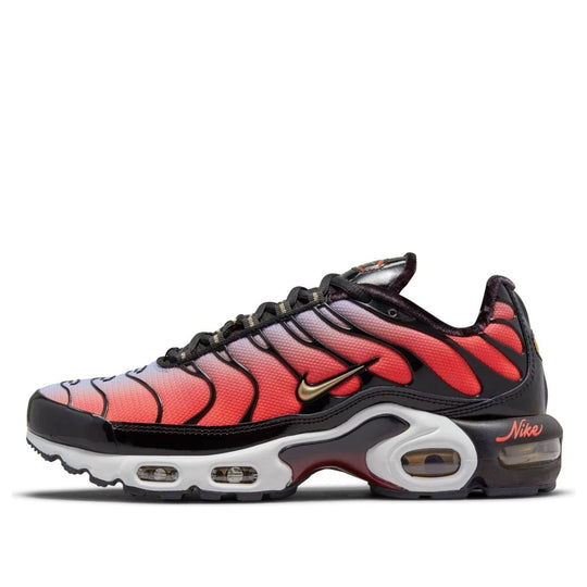 (WMNS) Nike Air Max Plus 'Sisterhood' DO6115-500