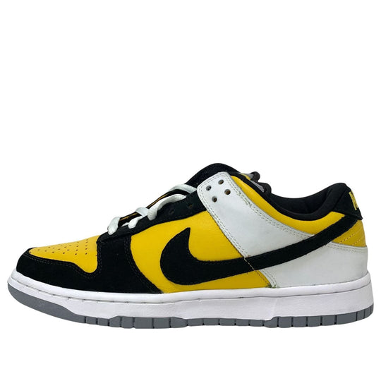 Nike SB Dunk Low Pro 'Bic' 304292-701