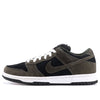 Nike SB Dunk Low Pro 'Un-Loden' 304292-018