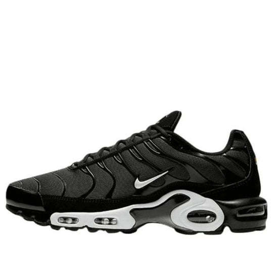 Nike Air Max Plus 'Black Sequoia' 852630-031
