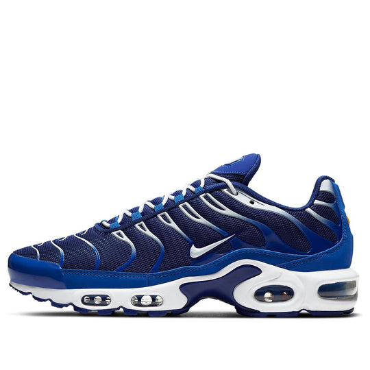 Nike Air Max Plus 'Arctic Chill' CW7024-400