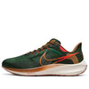 Nike x Hola Lou Air Zoom Pegasus 39 'A.I.R.' DO9500-300