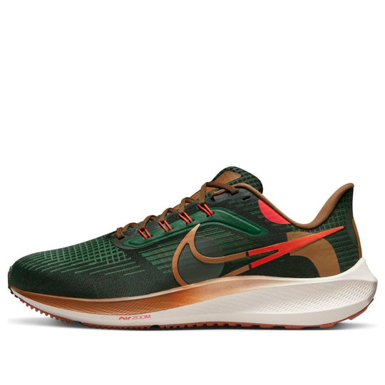 Nike x Hola Lou Air Zoom Pegasus 39 'A.I.R.' DO9500-300