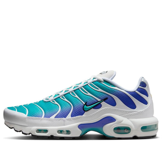 Nike Air Max Plus 'Aqua' DM0032-102